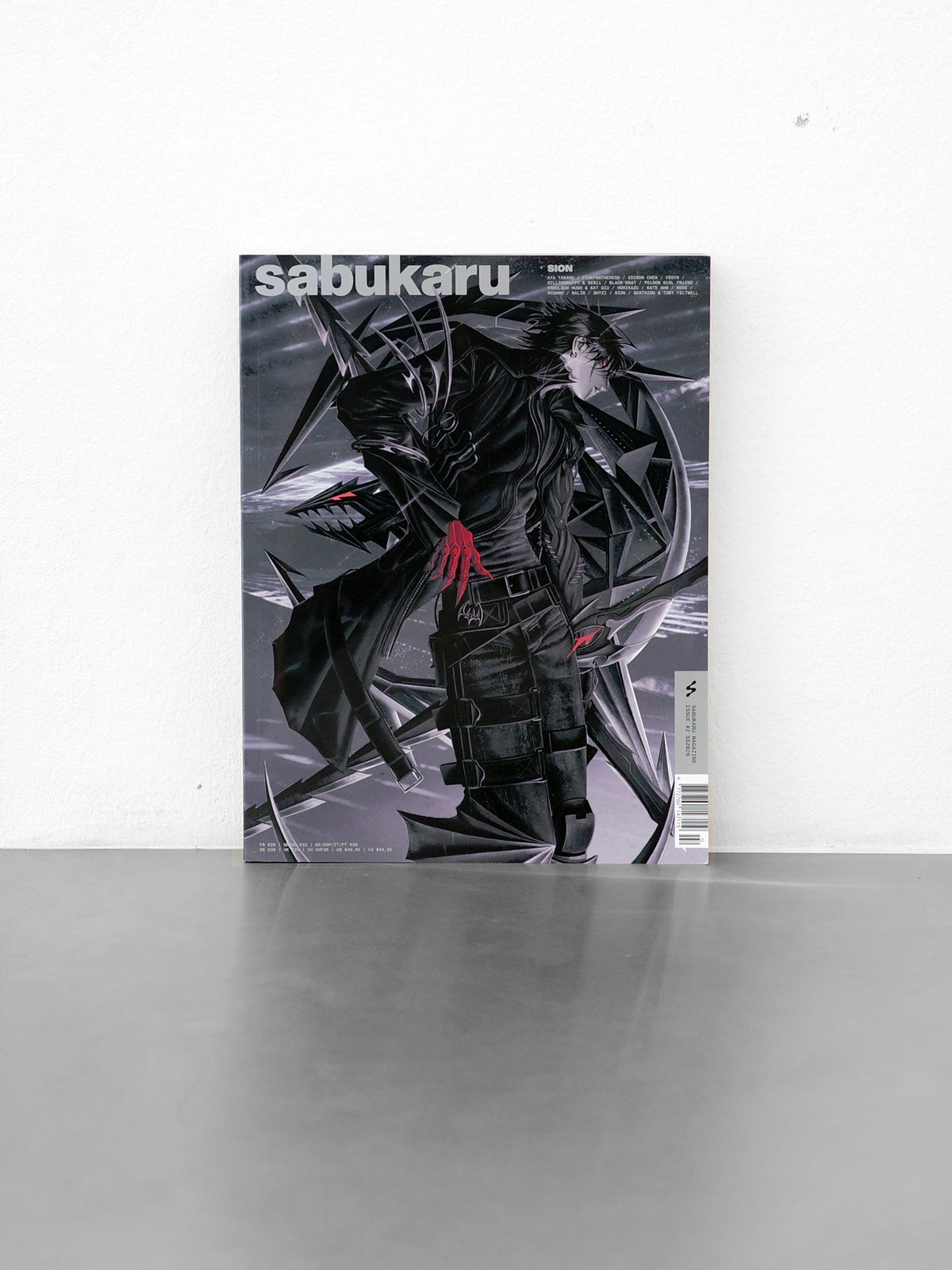 ISSUE 2: SION